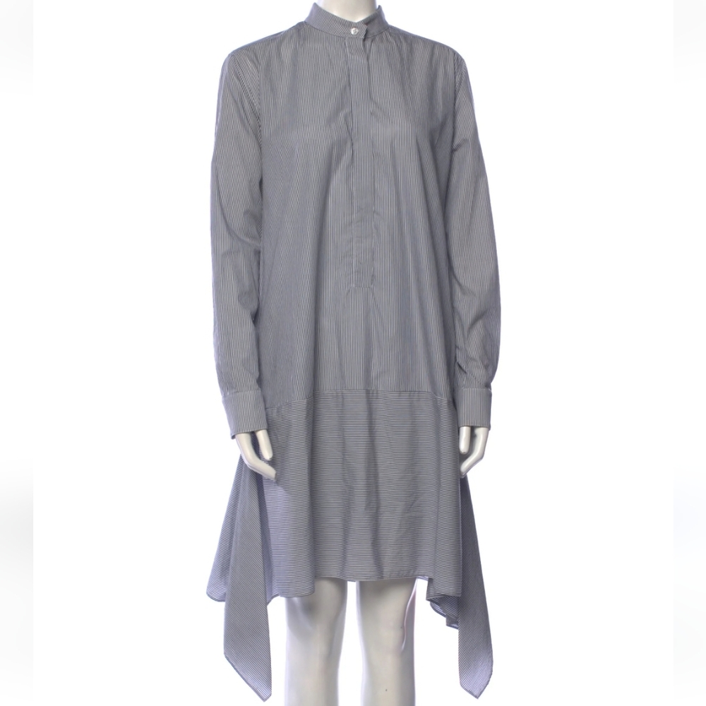 Scanlan Theodore Menswear Pinstripe Shirtdress S White